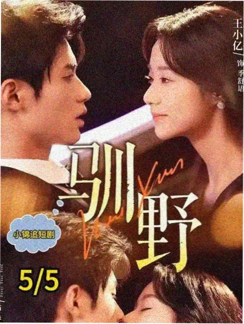 向往的生活 大叔影视分类推荐