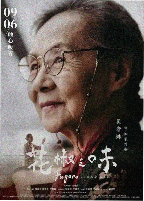 葬送的芙莉莲 大叔影视推荐